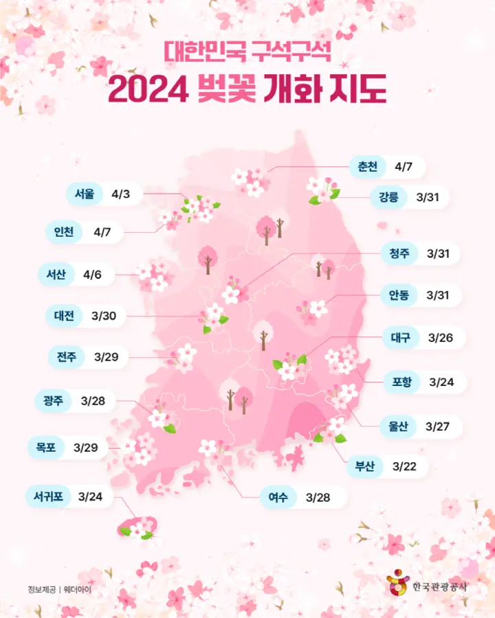[국내 여행] 2024년 벚꽃 개화 만개 시기, 그리고 전국 벚꽃 축제는 언제 어디서?